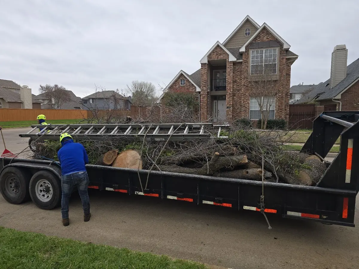 Expert Tree Pest Control with proper safety equipment in Guys Mills